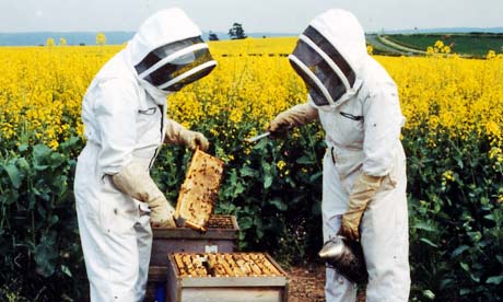 магазин пчеловодства